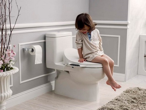 Nên mua thiết bị vệ sinh Toto hay Inax? So sánh chi tiết