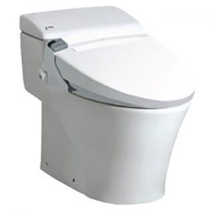 Bồn cầu Inax nắp Shower Toilet AC-1017R+CW-KA22AVN/BW1