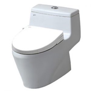 Bồn cầu Inax nắp Shower Toilet AC-1035+CW-S15VN