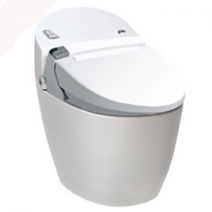 Bồn cầu Inax nắp điện tử AC-2700+CW-KA22AVN/BW1