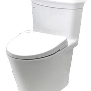 Bồn cầu Inax nắp Shower Toilet AC-3003+CW-S15VN