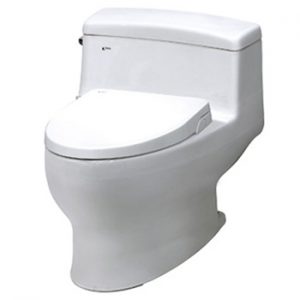 Bồn cầu Inax nắp Shower Toilet AC-4005+CW-S15VN