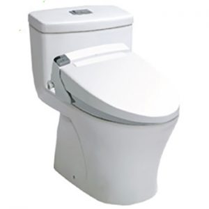 Bồn cầu Inax nắp Shower Toilet AC-900R+CW-KA22AVN/BW1