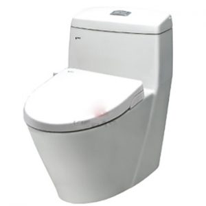Bồn cầu Inax nắp Shower Toilet AC-909R+CW-S15VN