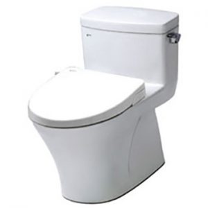Bồn cầu Inax nắp Shower Toilet AC-991R+CW-S15VN