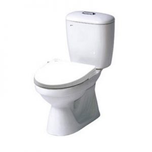 Bồn cầu Inax nắp Shower Toilet C-306PT+CW-S15VN